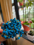 Mini Rose Bouquet Blanket, hand-crocheted by Mindori