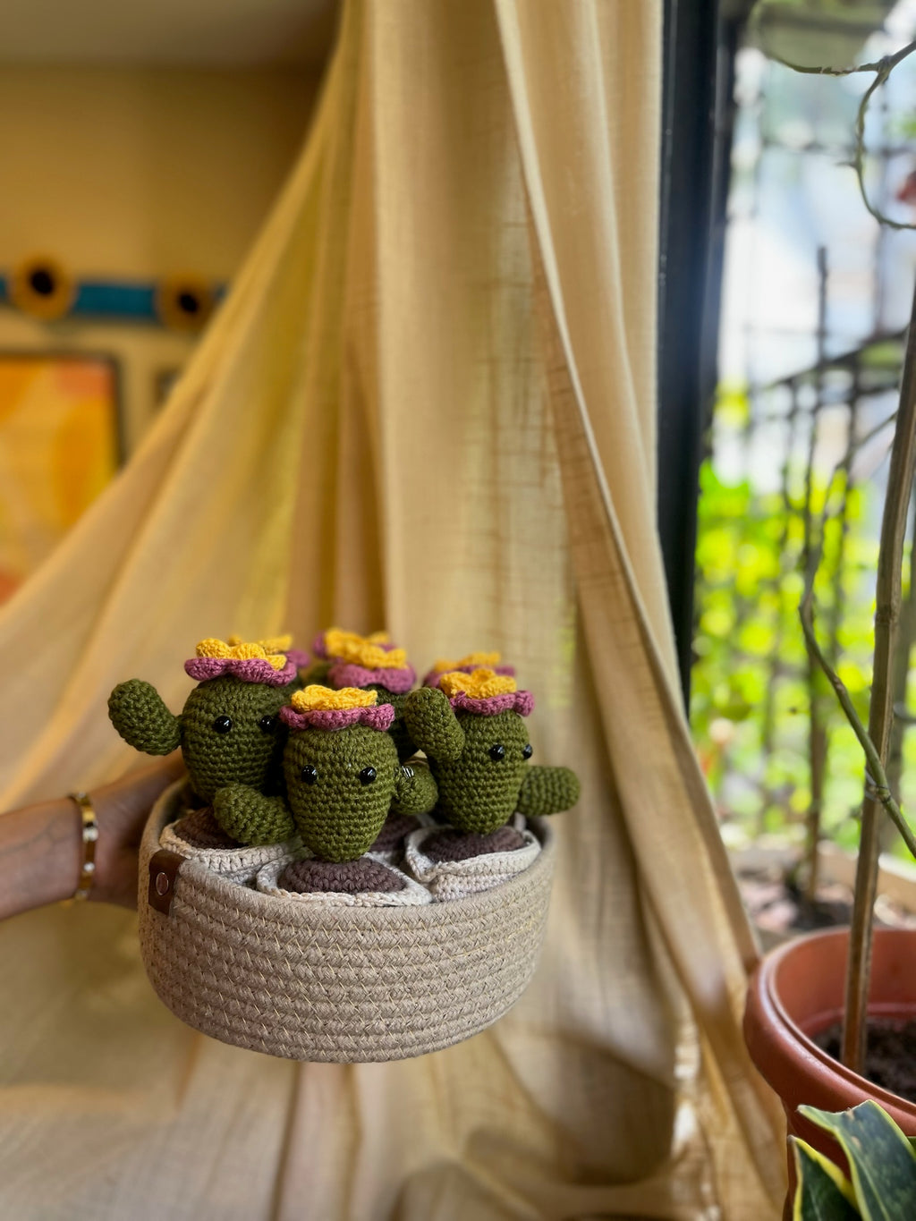Cactus Pot