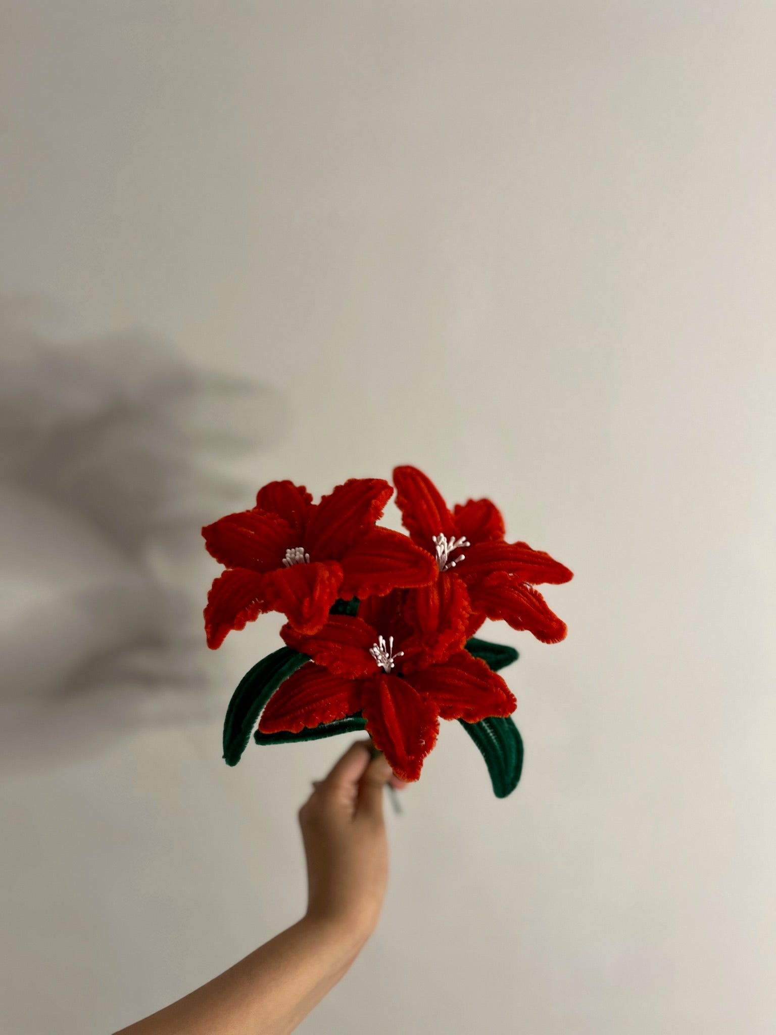 Elsa Lily Flower