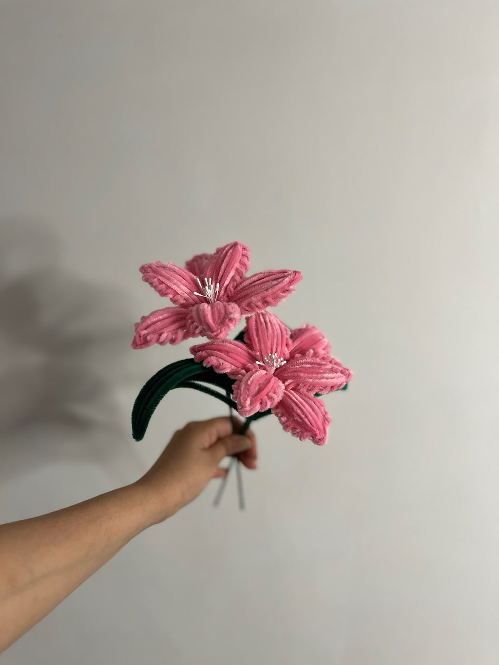 Elsa Lily Flower