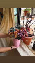 Forget Me Not Flower, hand-crocheted by Mindori