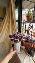Lavender Haze Sunflower Flower, hand-crocheted by Mindori