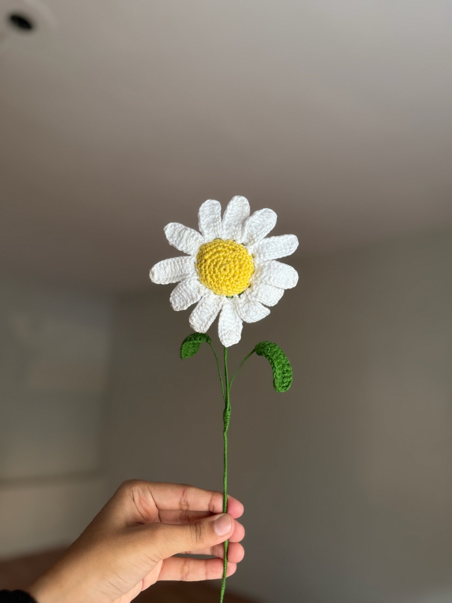 Mini Daisy Flower
