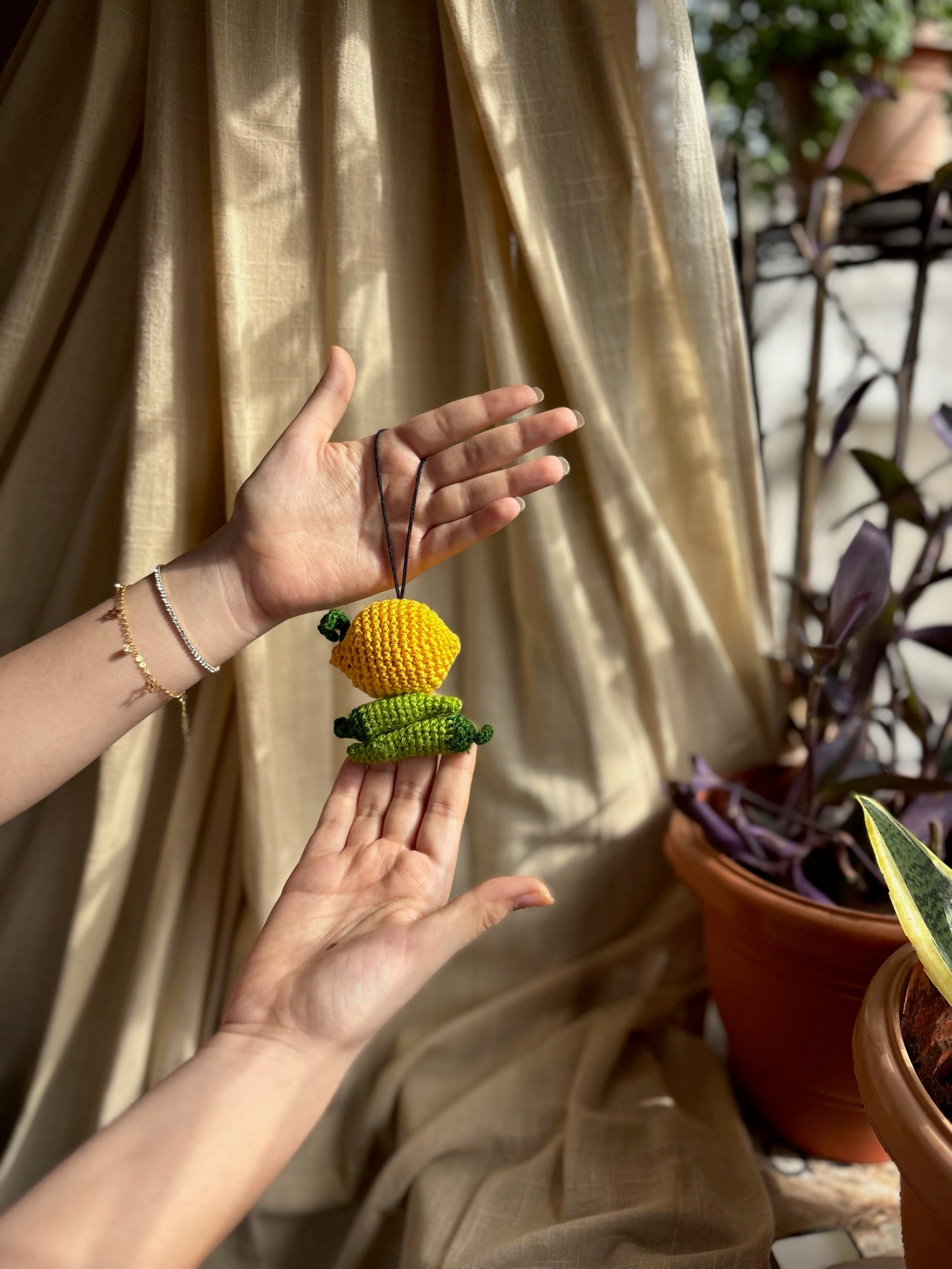 Nimbu Mirchi Charm