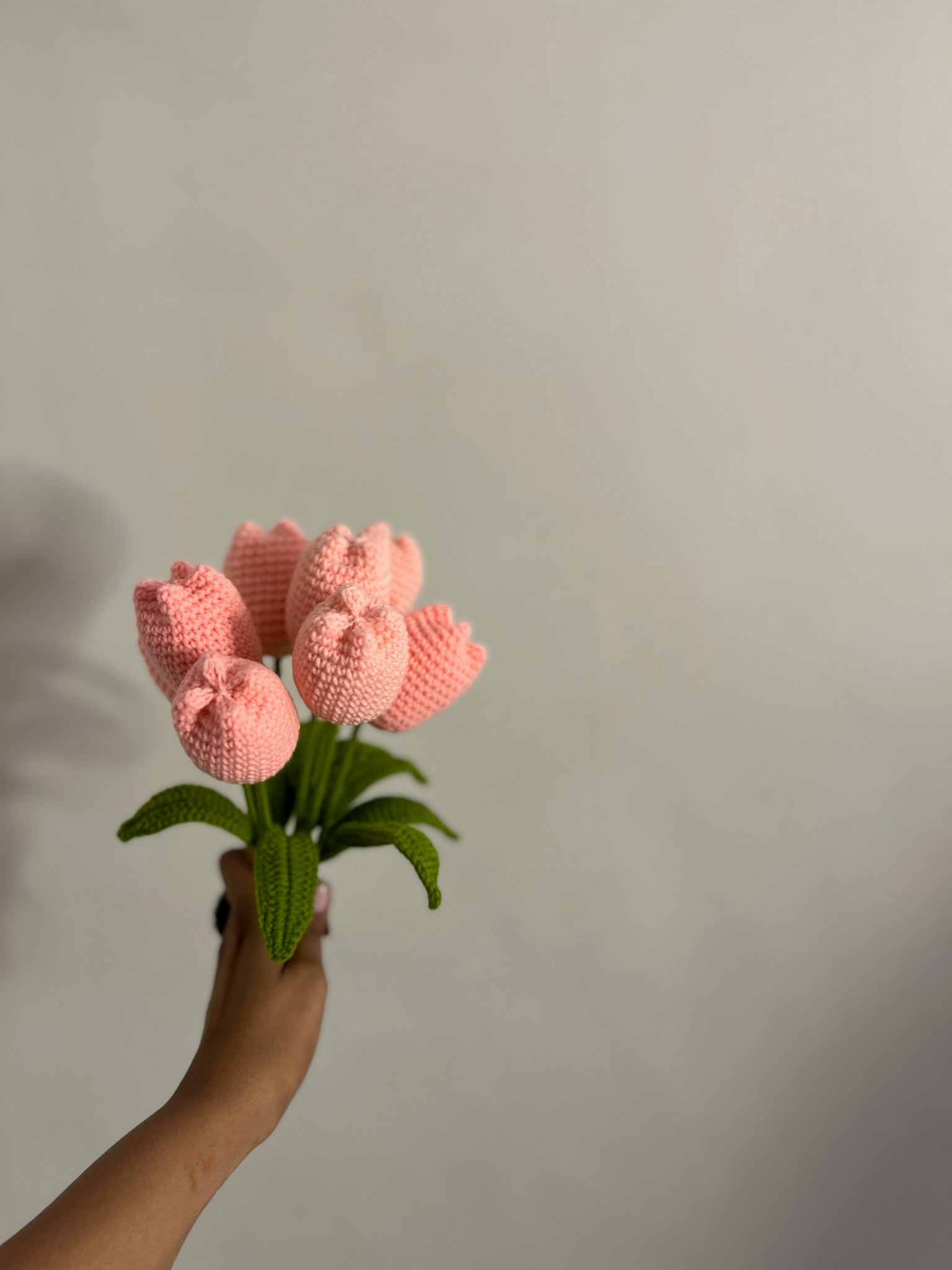 Classic Tulip Flower