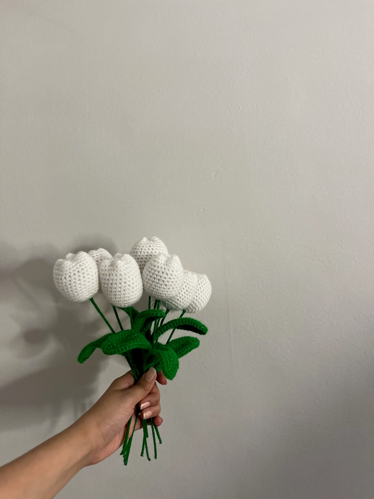 Classic Tulip Flower