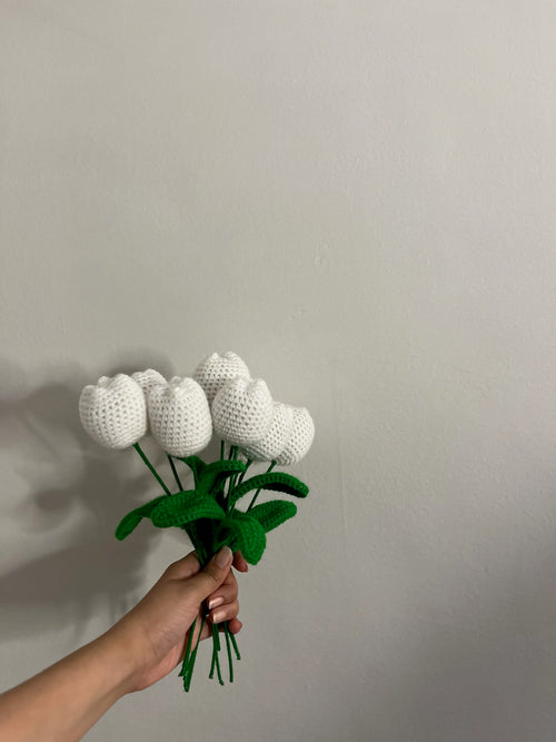 Classic Tulip Flower